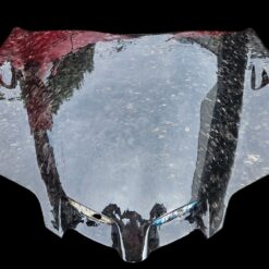 1998-2002 SuperHawk Style Hood for Firebird Formula Trans-Am (CARBON FIBER)